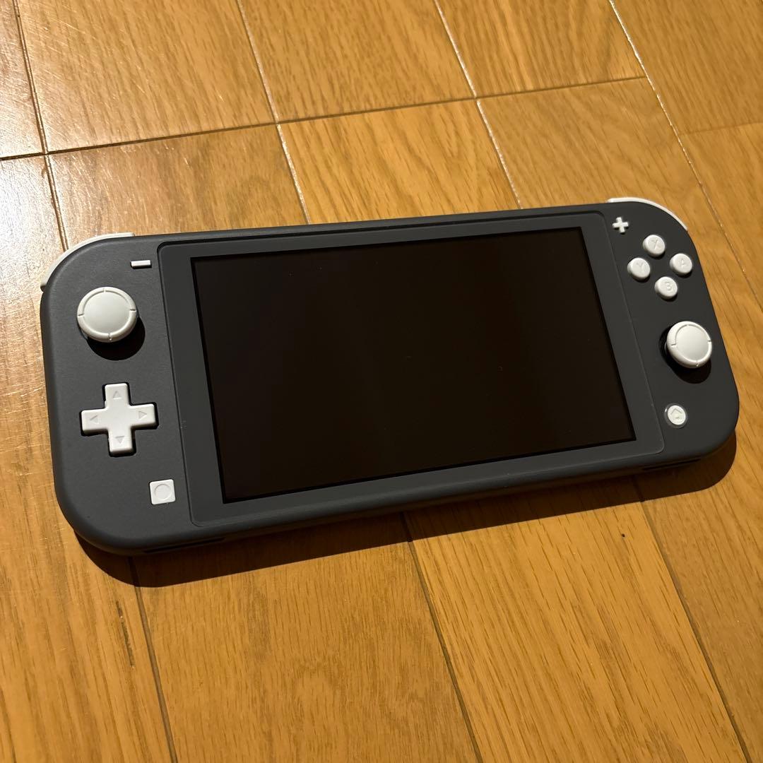 【美品】 Nintendo Switch Lite 収納ケース付き