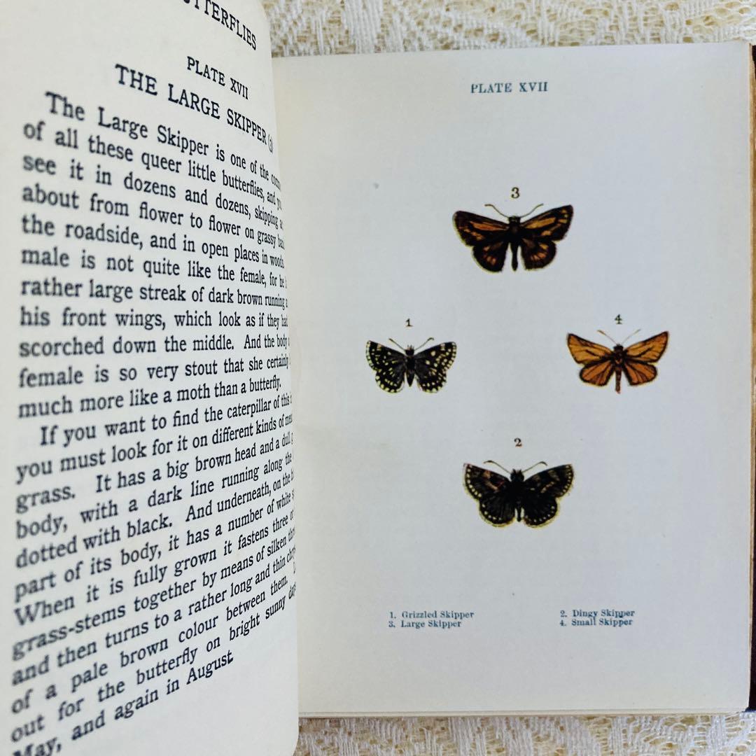 洋書　古書　イギリスの蝶と蛾の図鑑　優雅なカラー図版と趣のある美しい装丁♡