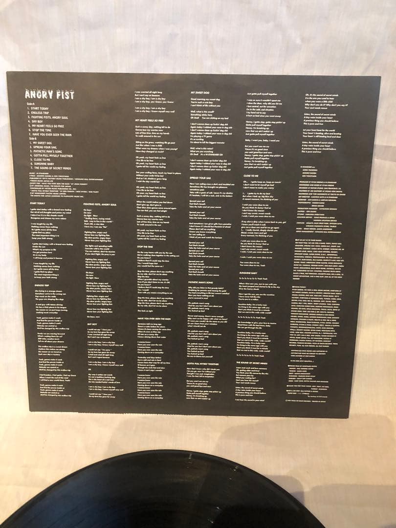 P*T様 名盤　当時物　Hi-STANDARD angry fist レコード