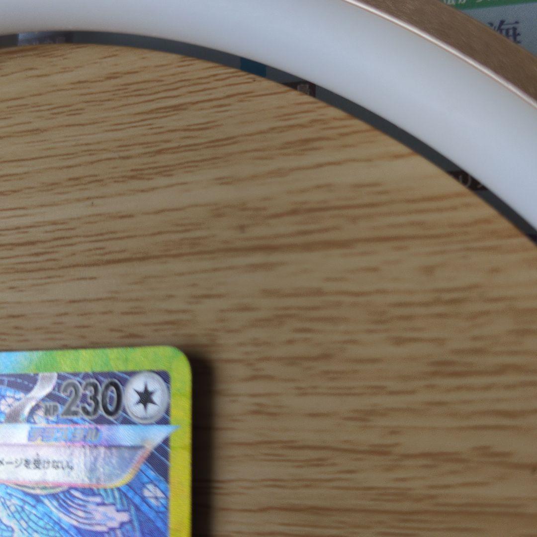 テラパゴス　 SAR 230 HP ポケモンカード