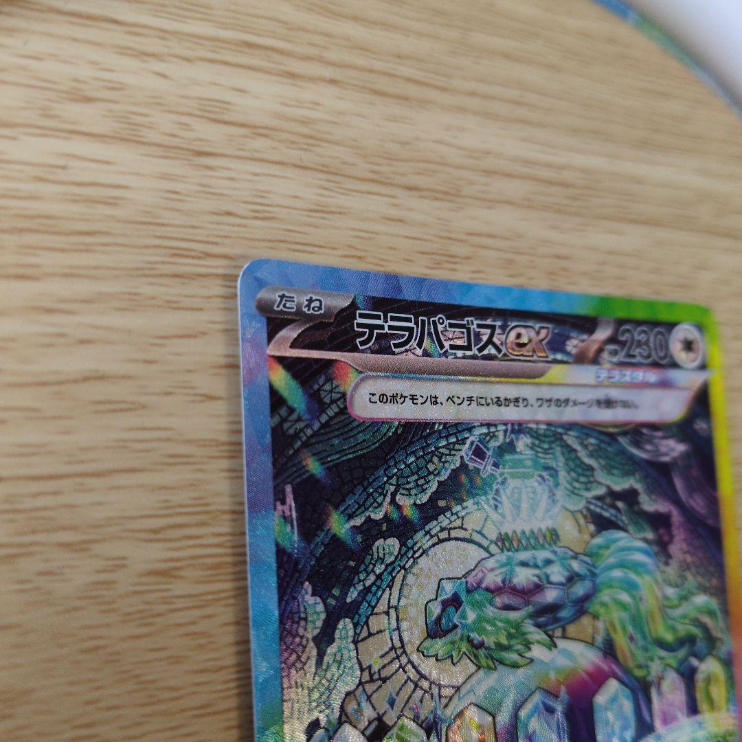 テラパゴス　 SAR 230 HP ポケモンカード