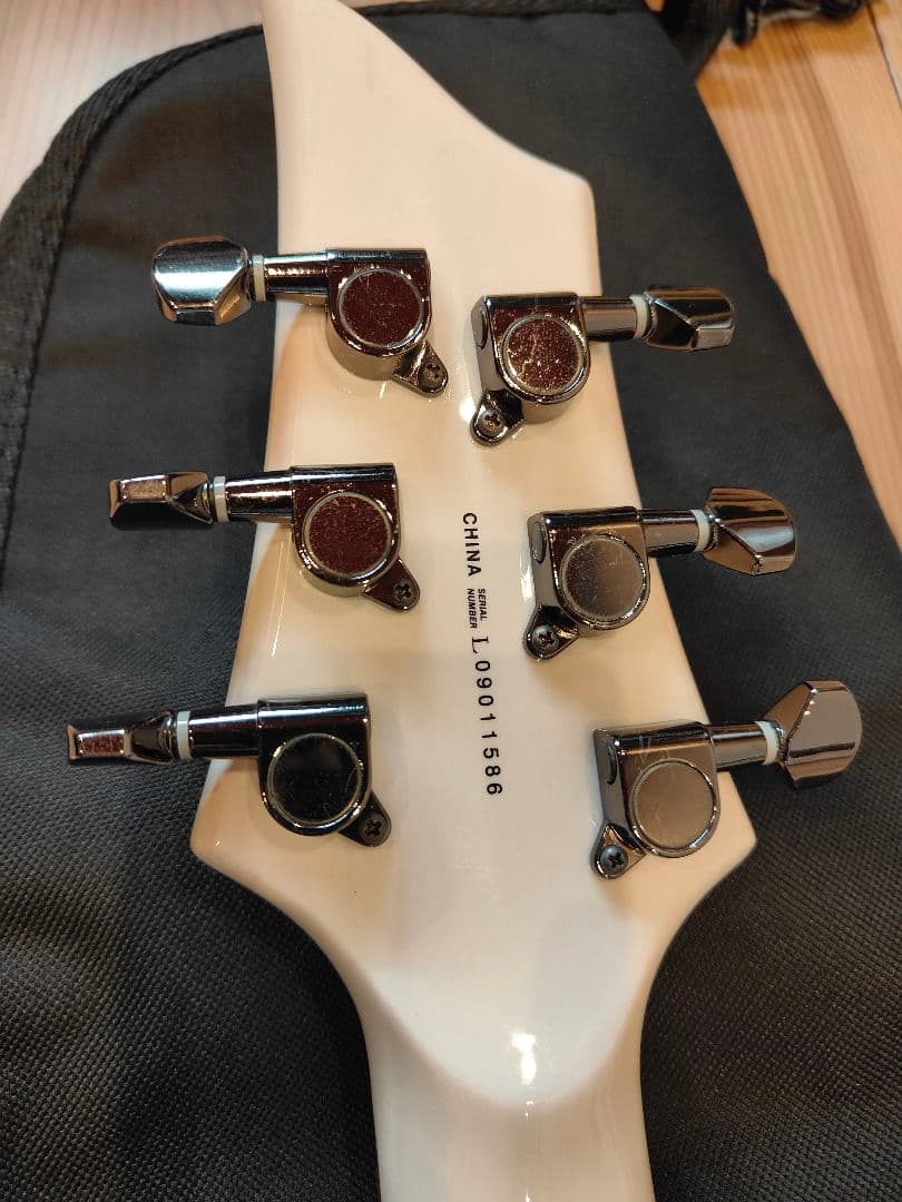 ESP GrassRoot FOREST G-FR-62GT? グラスルーツ