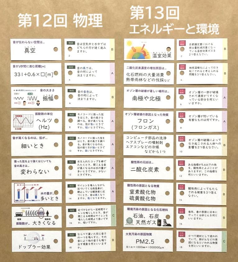 ★大特価★カット済 【中学受験】理科の基本事項 暗記カード フルセットe