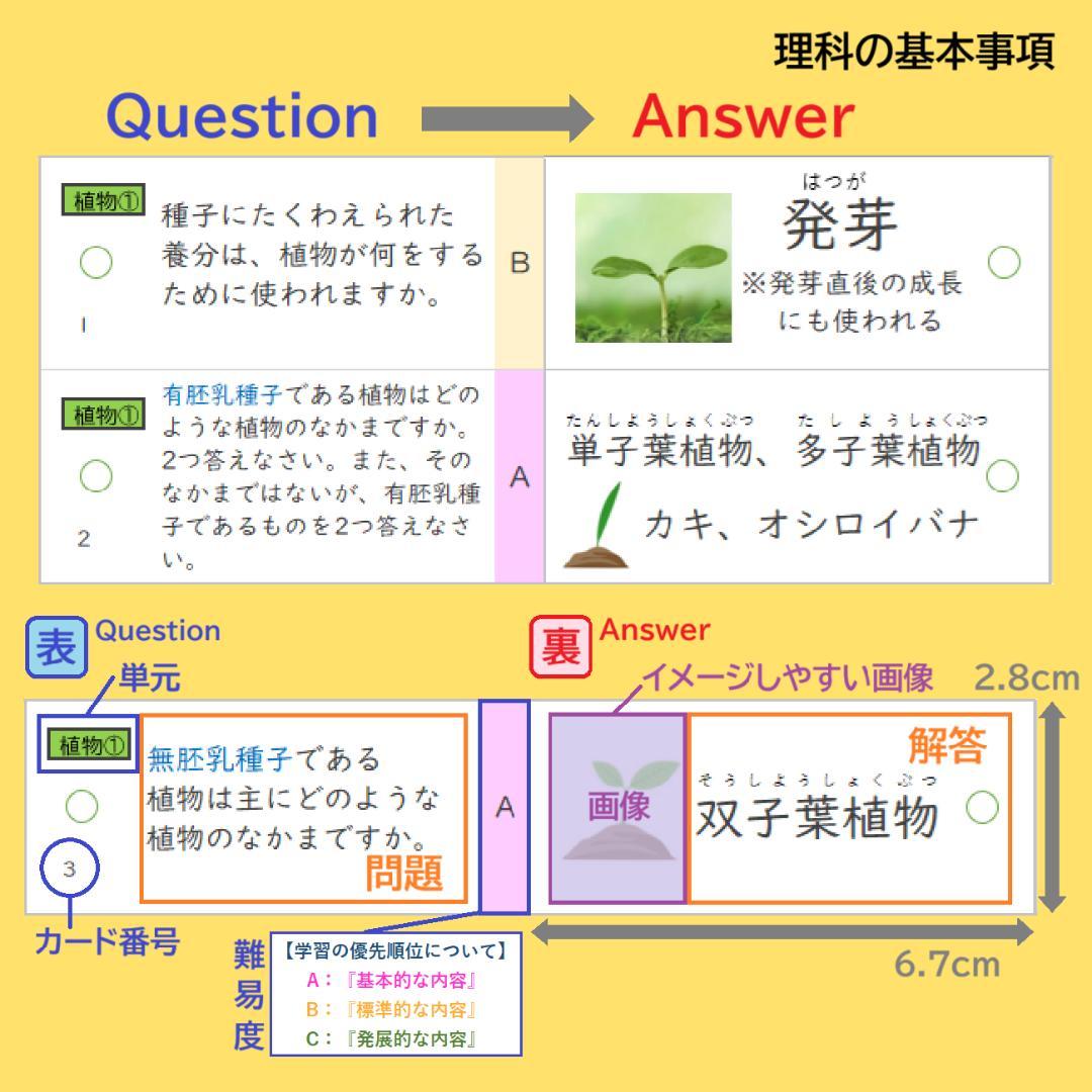 ★大特価★カット済 【中学受験】理科の基本事項 暗記カード フルセットe