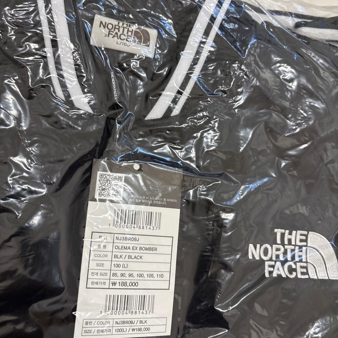 韓国限定✨THE NORTH FACE オレマEX ボンバージャケット Lサイズ