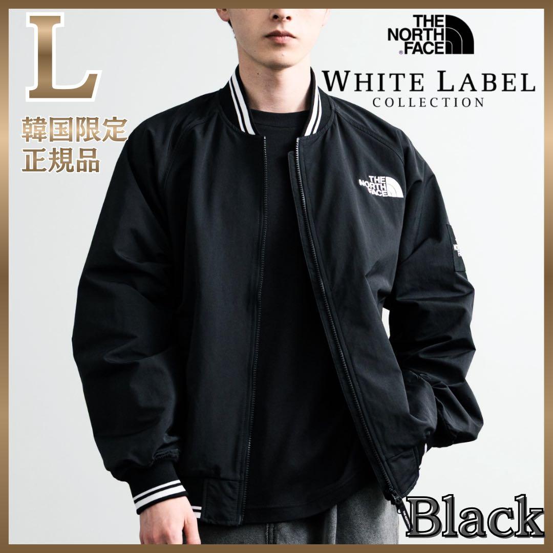 韓国限定✨THE NORTH FACE オレマEX ボンバージャケット Lサイズ