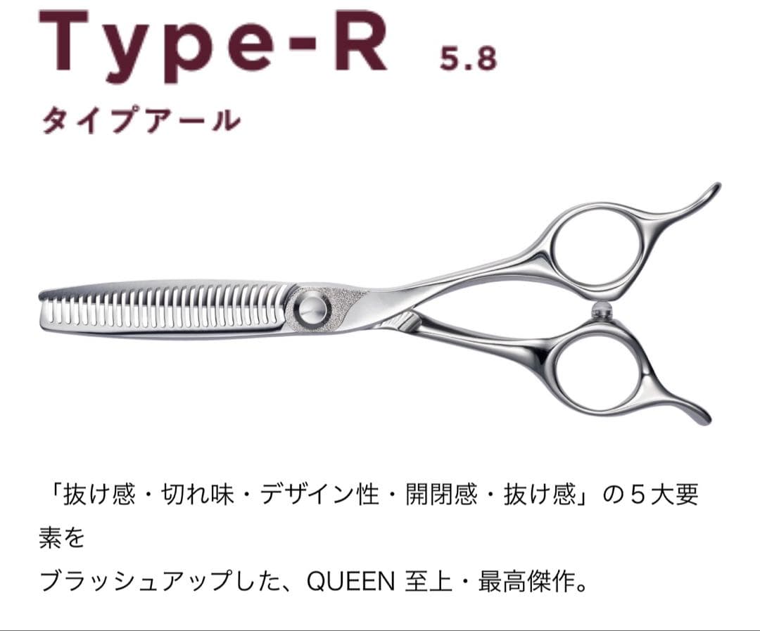 トギノン　QUEENスター　タイプ-R シルバー新型5、8インチ