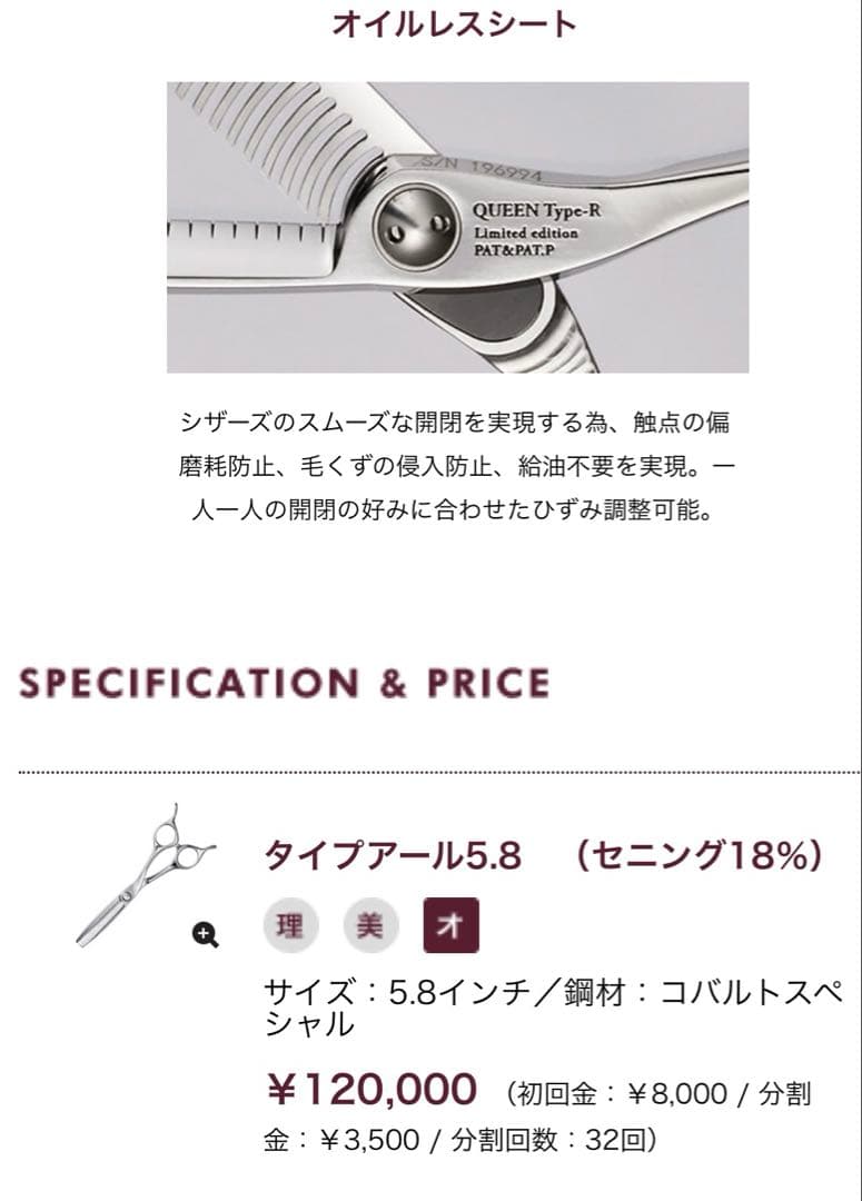 トギノン　QUEENスター　タイプ-R シルバー新型5、8インチ