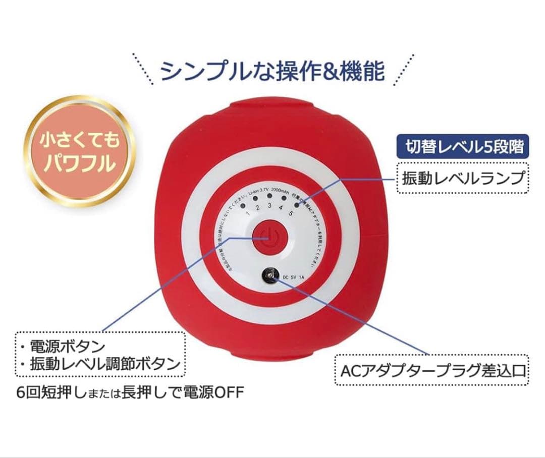 フィットネスクラブが作った スタイリーボール