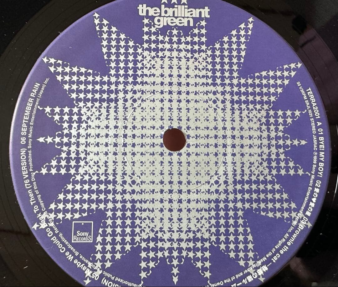 the brilliant green『TERRA 2001』LP レア 盤