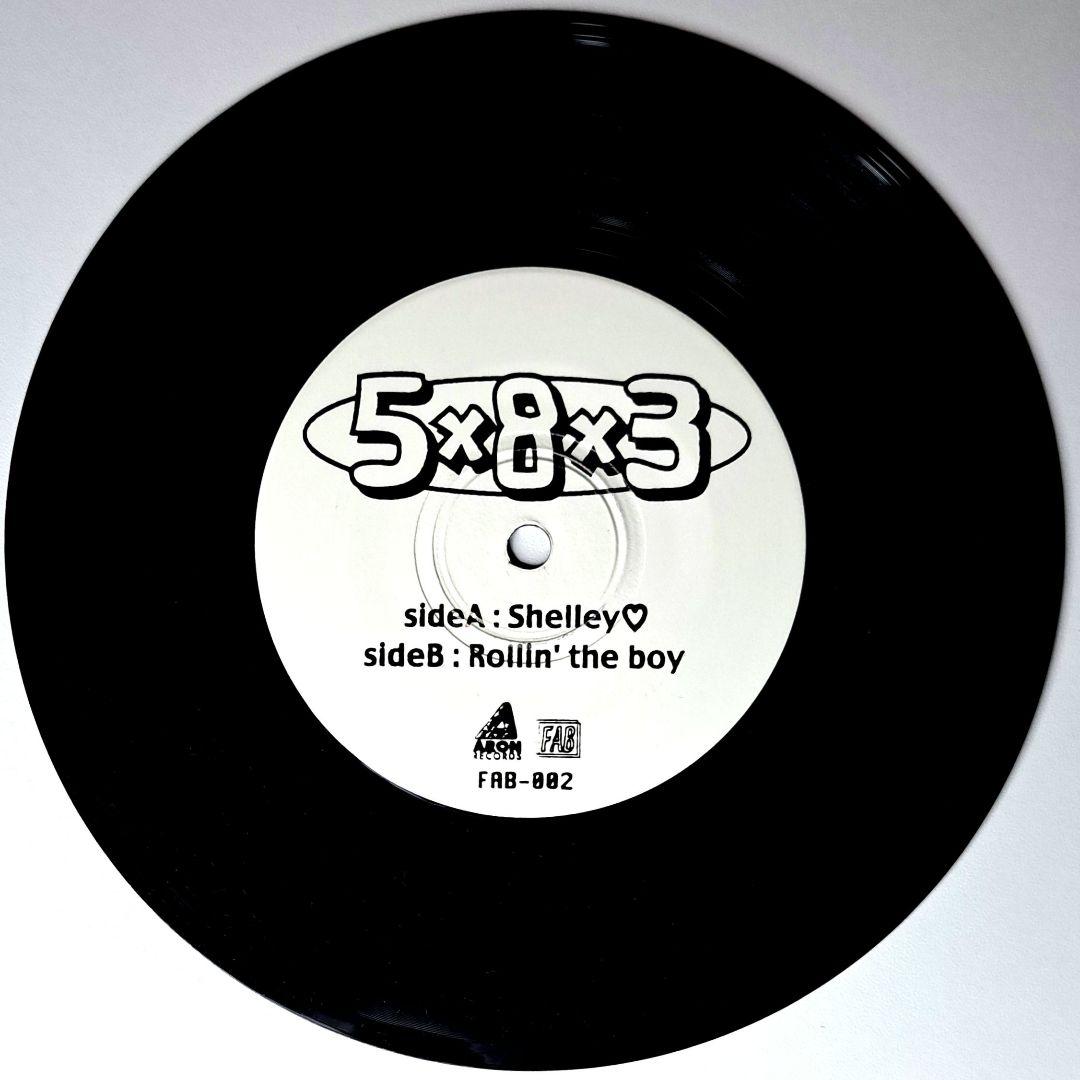 5x8x3　Shelley　レコード　Dance Hall Crashers
