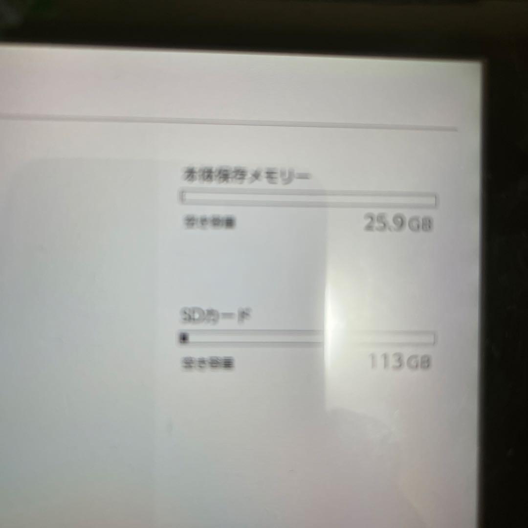Nintendo Switch Lite グレー 本体 Joy-Con付き