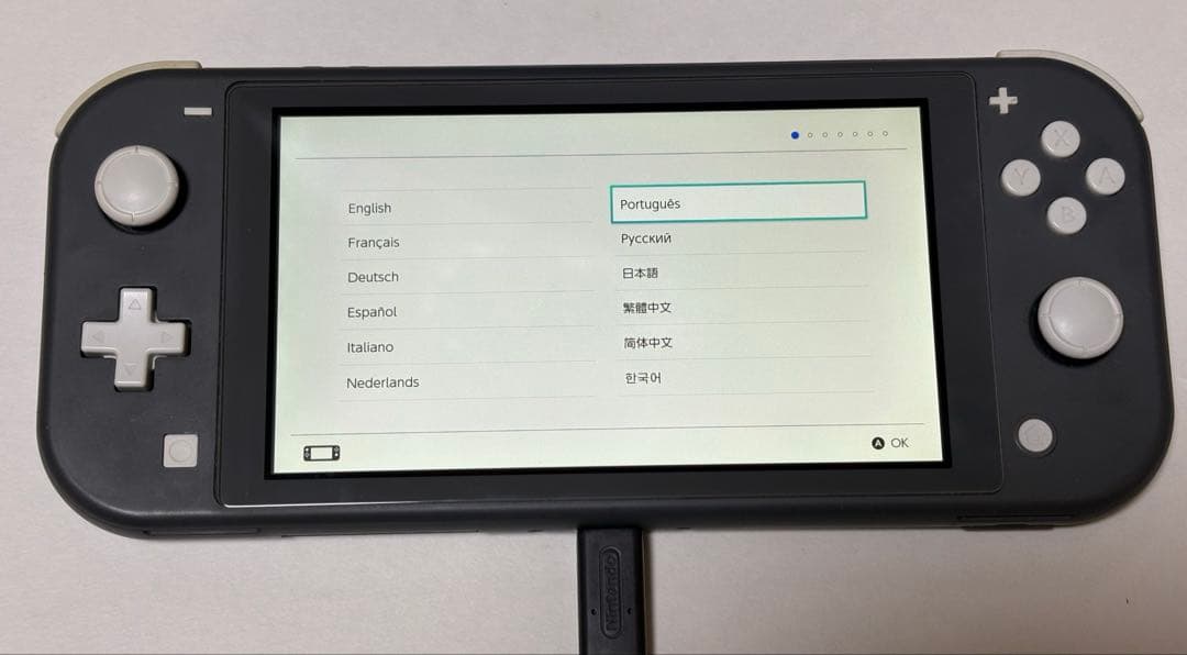 Nintendo switch light ライト本体