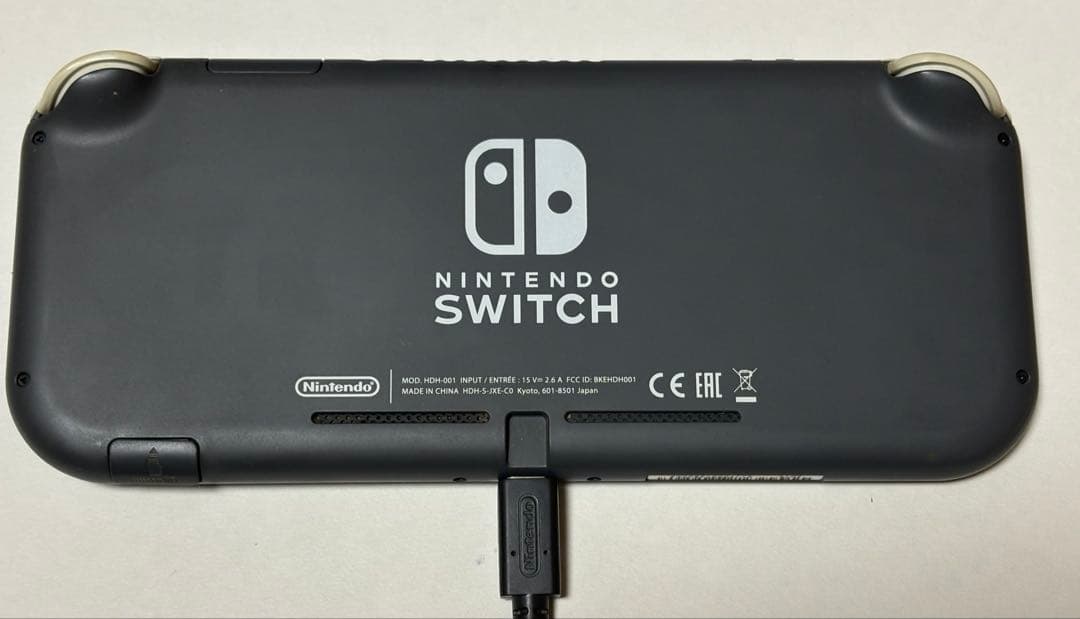 Nintendo switch light ライト本体