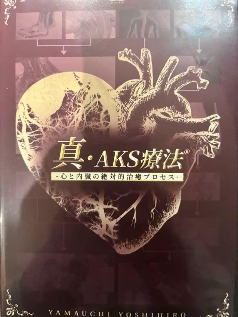 真AKS療法　DVD6枚セット
