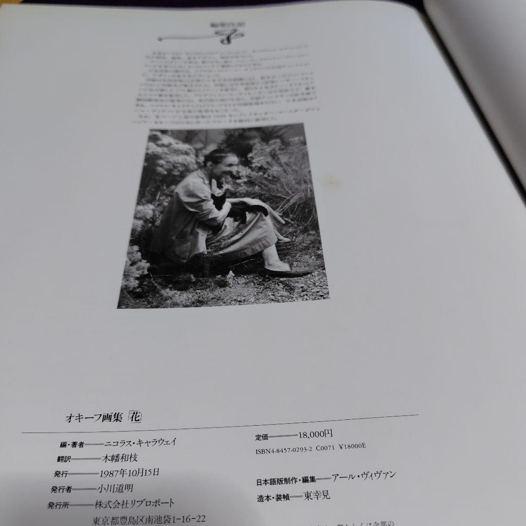 大型本 オキーフ画集 花