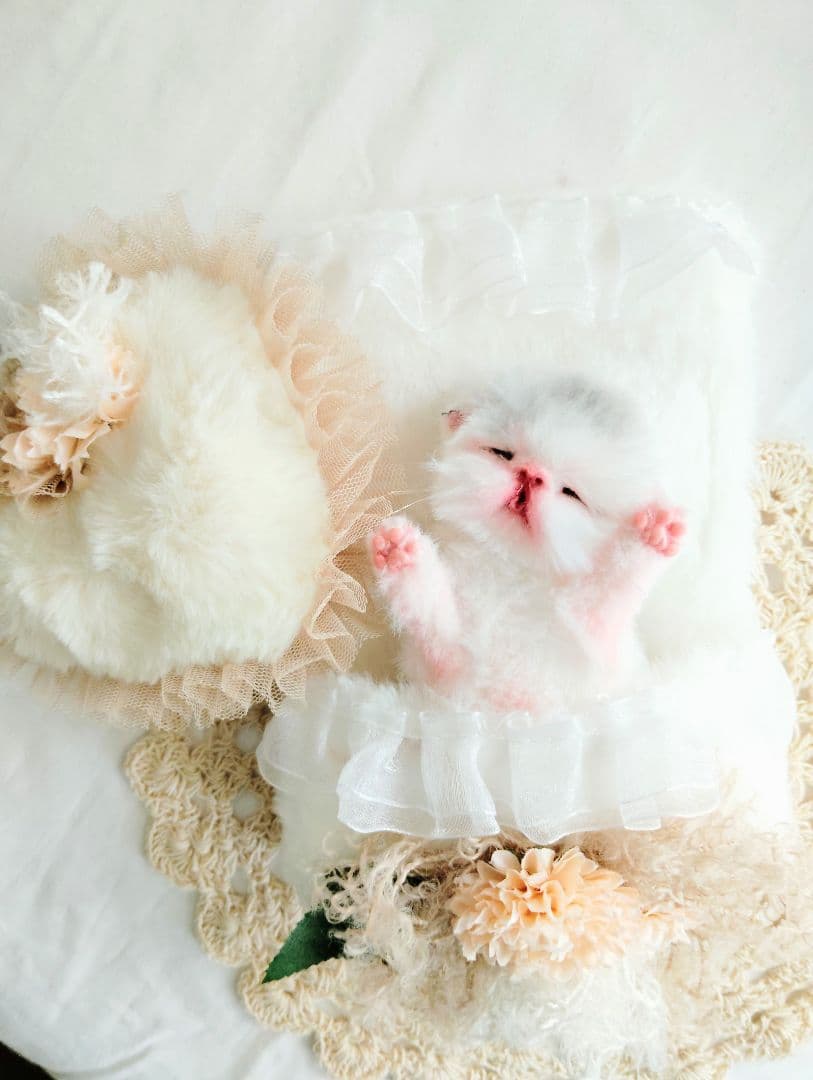 生まれたて♡生後２日子猫ちゃん♡エキゾベビー♡お布団セット♡アートドール♡