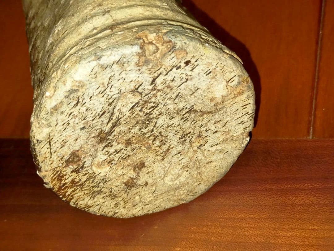 ♥信楽♥　花瓶　水漏れ有り　花器　骨董　古玩
