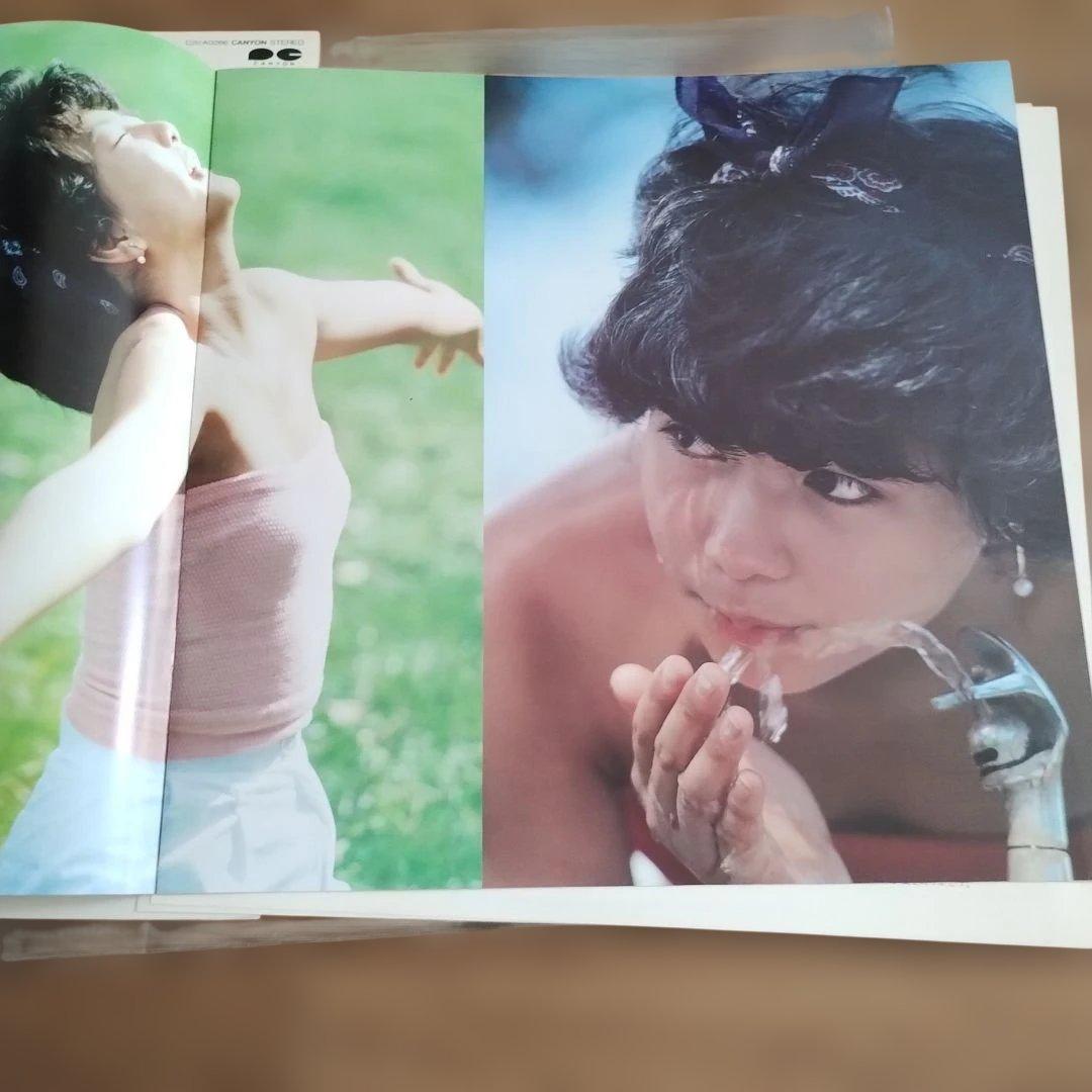 心の扉−ちえみMyself−堀ちえみ 写真集心の扉　レコード盤LP