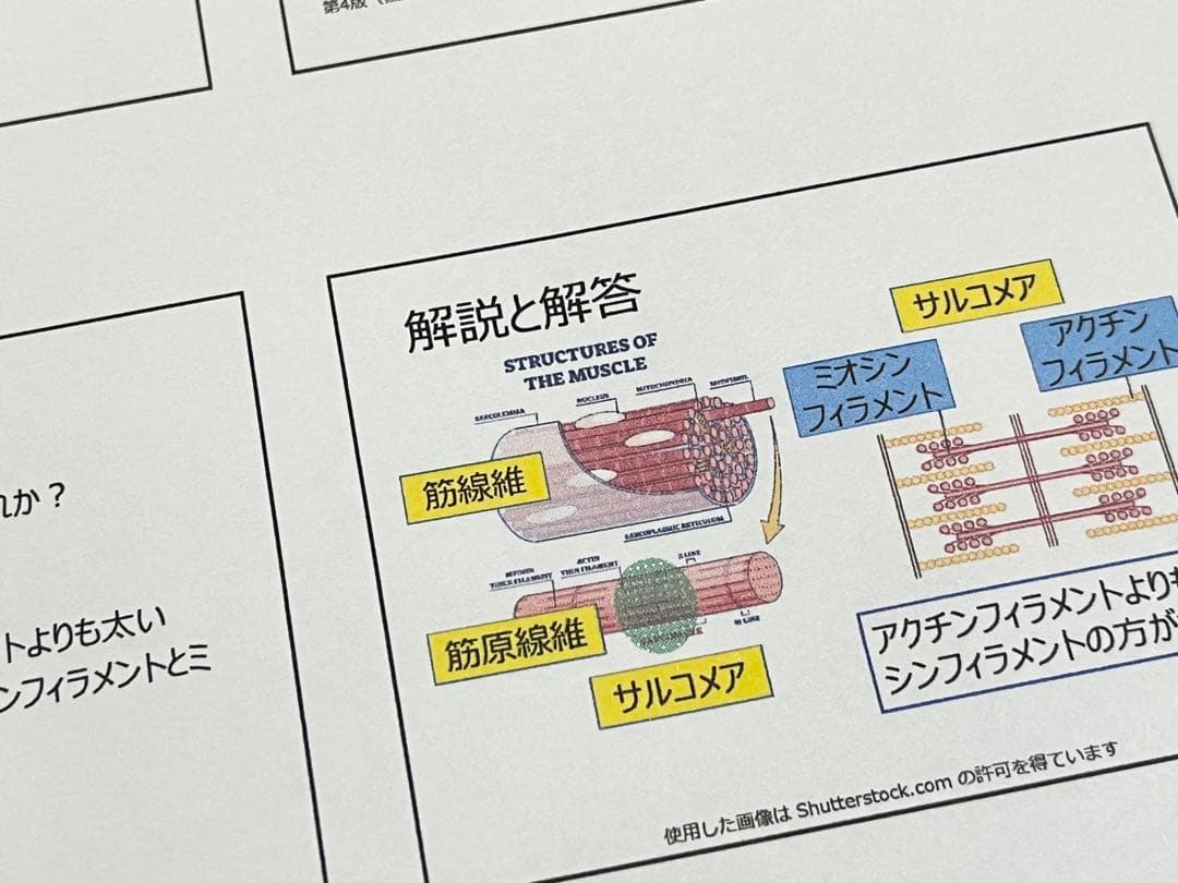 ※4冊セット【2026年版】CSCS試験対策問題集（600問）