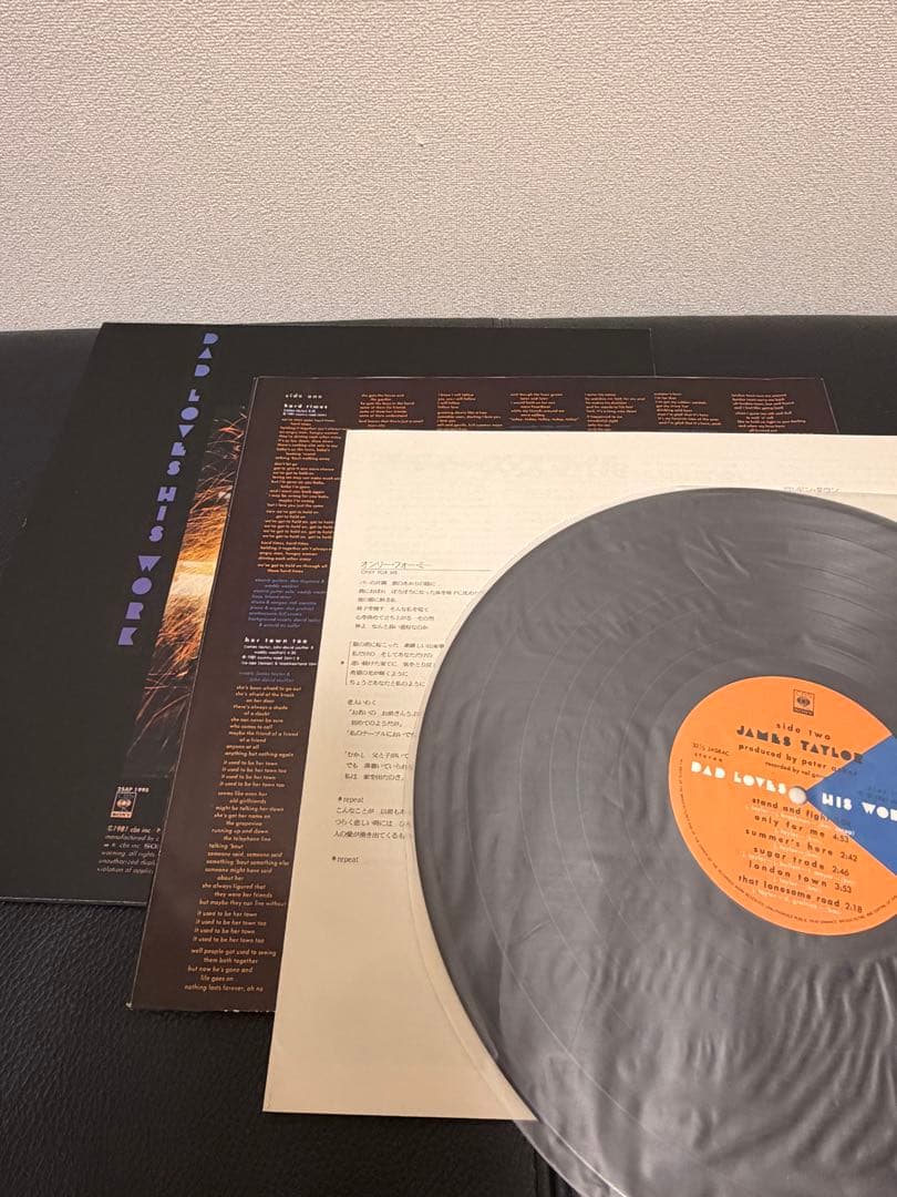 James Taylor ジェイムス・テイラー LP ９タイトルまとめ売り