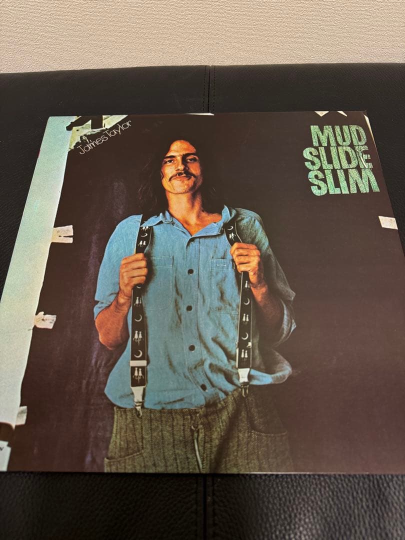 James Taylor ジェイムス・テイラー LP ９タイトルまとめ売り