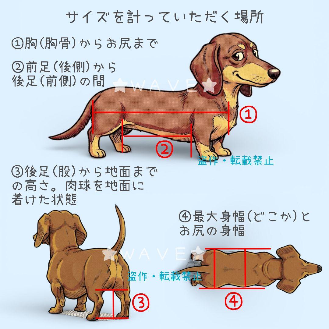 Sasami　犬用車椅子　犬の歩行器　犬の車いす　歩行補助　ハーネス