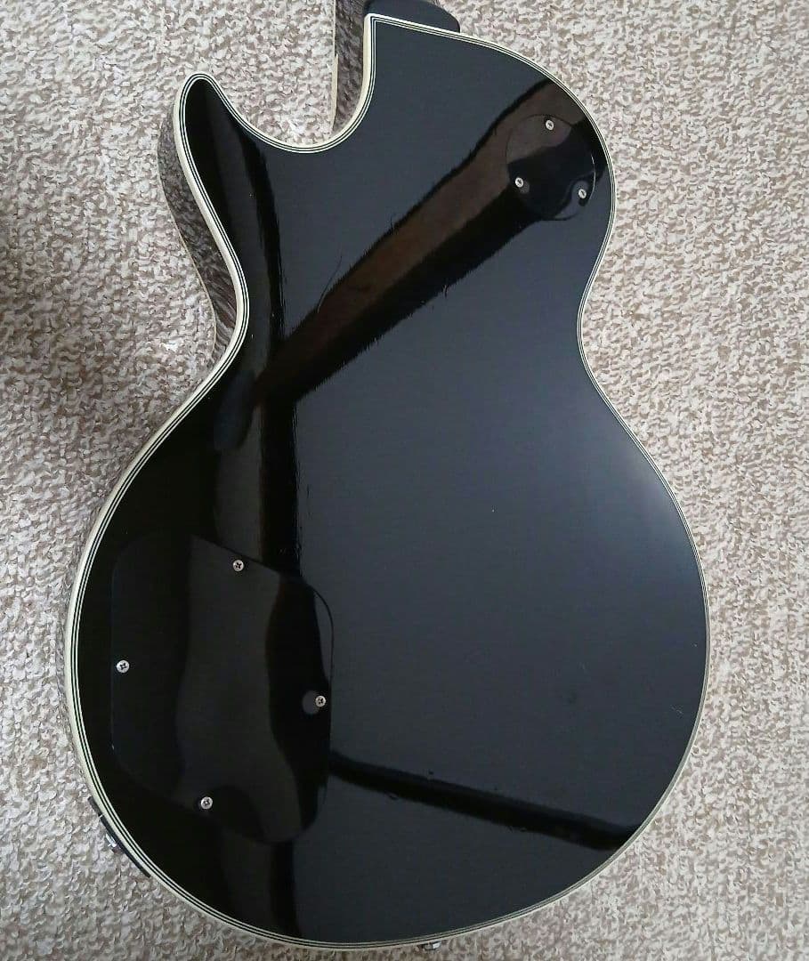 FERNANDES burny RLC-55　付属品付