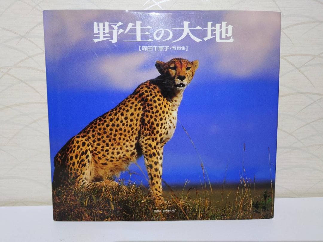希少　サイン本　野生の大地　森田千惠子　写真集 大型本