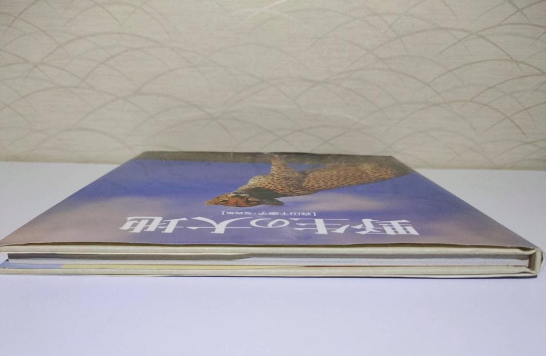 希少　サイン本　野生の大地　森田千惠子　写真集 大型本