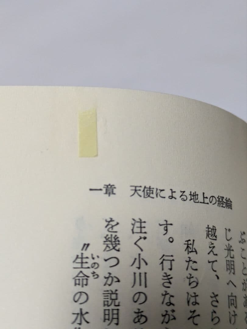 ベールの彼方の生活 全巻セット