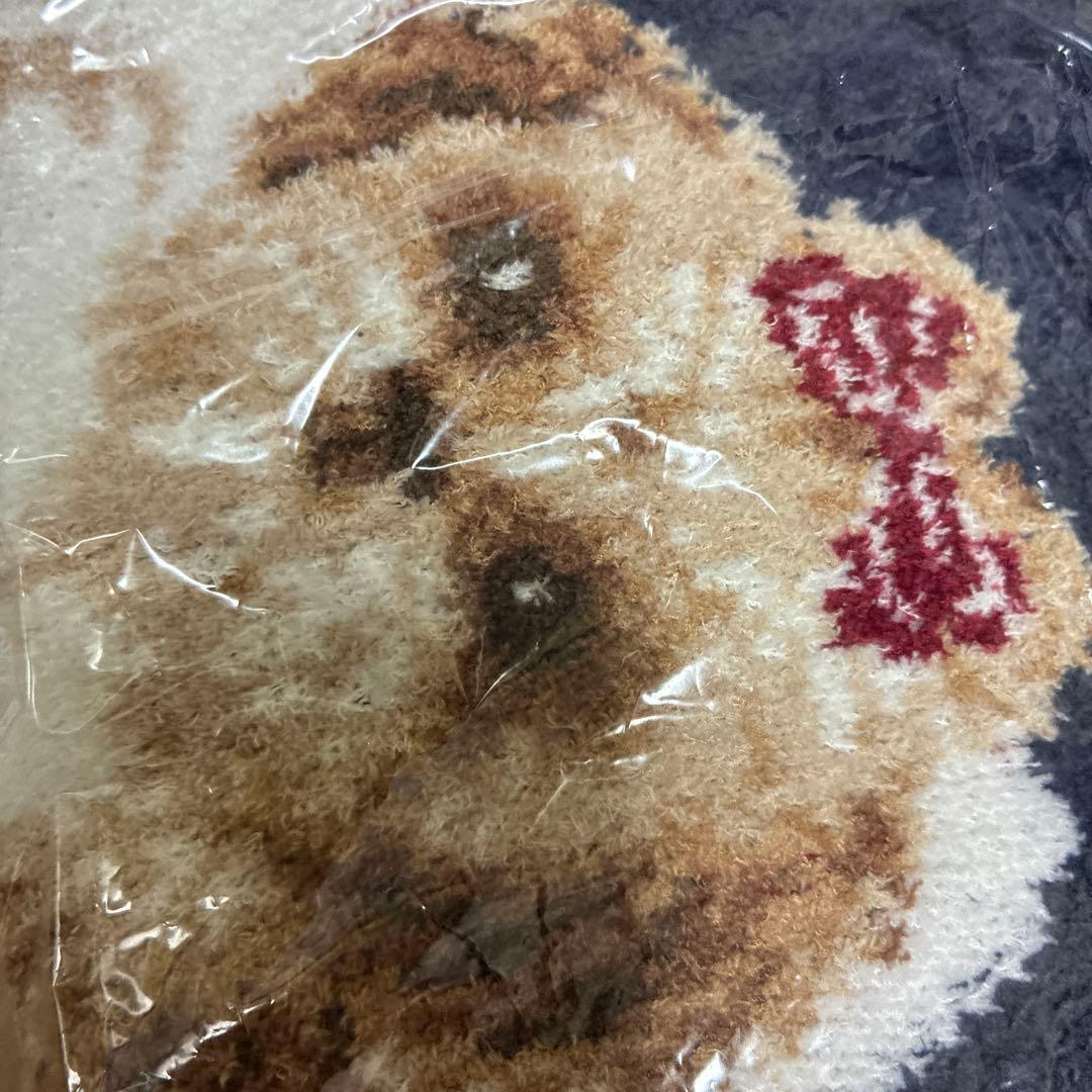 ジェラートピケ シーズージャガードプルオーバー　ネイビー新品