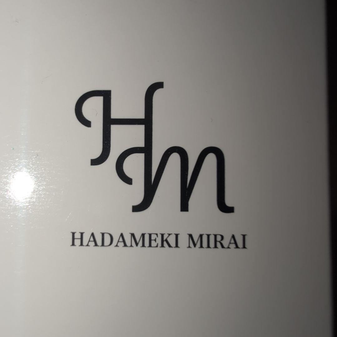 HADAMEKI MIRAI リキッドファンデーション 76g