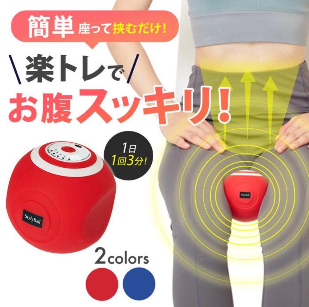 未使用品　ルネサンス スポーツクラブがつくったスタイリーボール　SLB-100