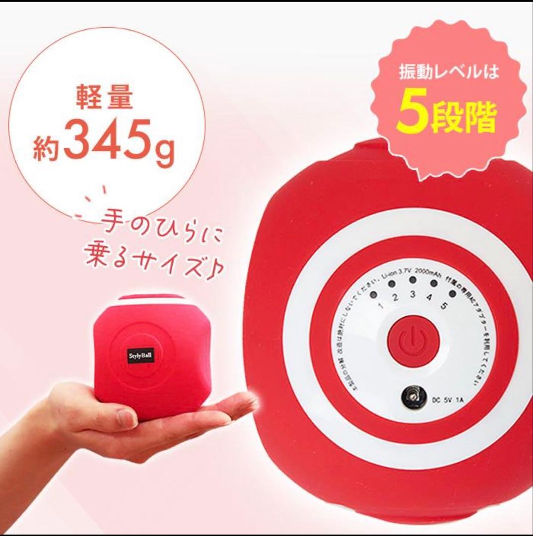 未使用品　ルネサンス スポーツクラブがつくったスタイリーボール　SLB-100