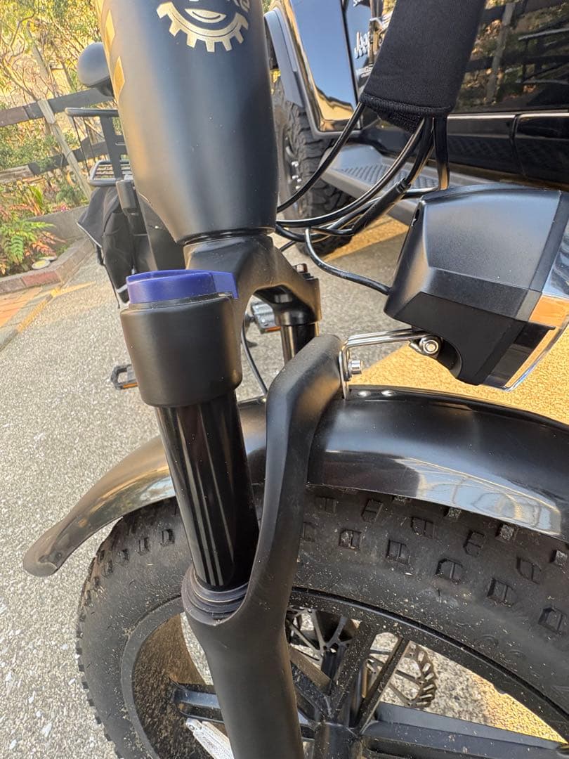 hey bike Tyson 購入者
