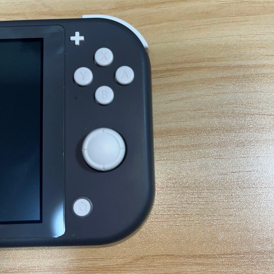 Switch Lite グレー （箱無し・充電器付き）