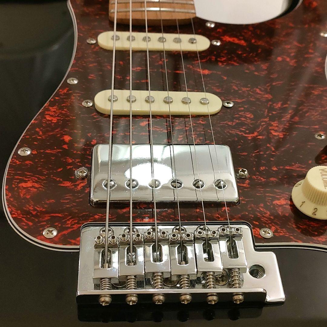k*e様 Bacchus GS-2DX RSM/BLK ステンレスフレット SS