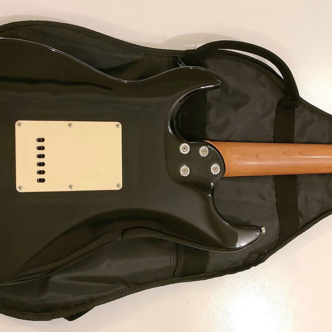 k*e様 Bacchus GS-2DX RSM/BLK ステンレスフレット SS