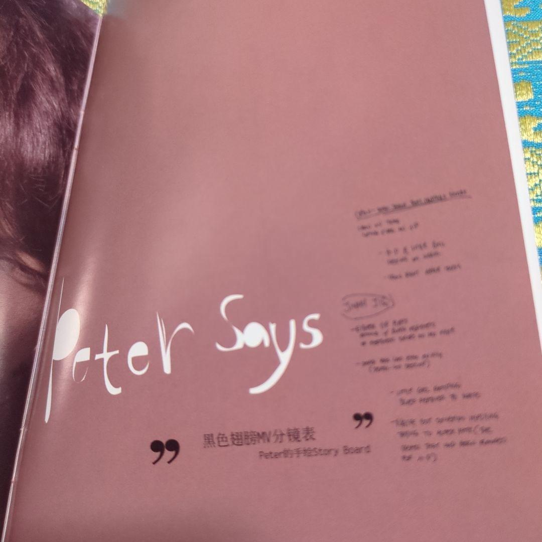 台湾版　Peter Ho/I WANT TO TELL YOU好想對你説