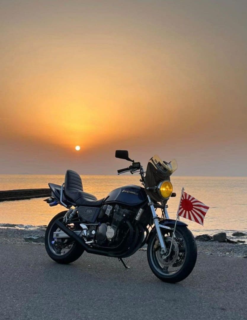 イナズマ400 三段シート 35cm