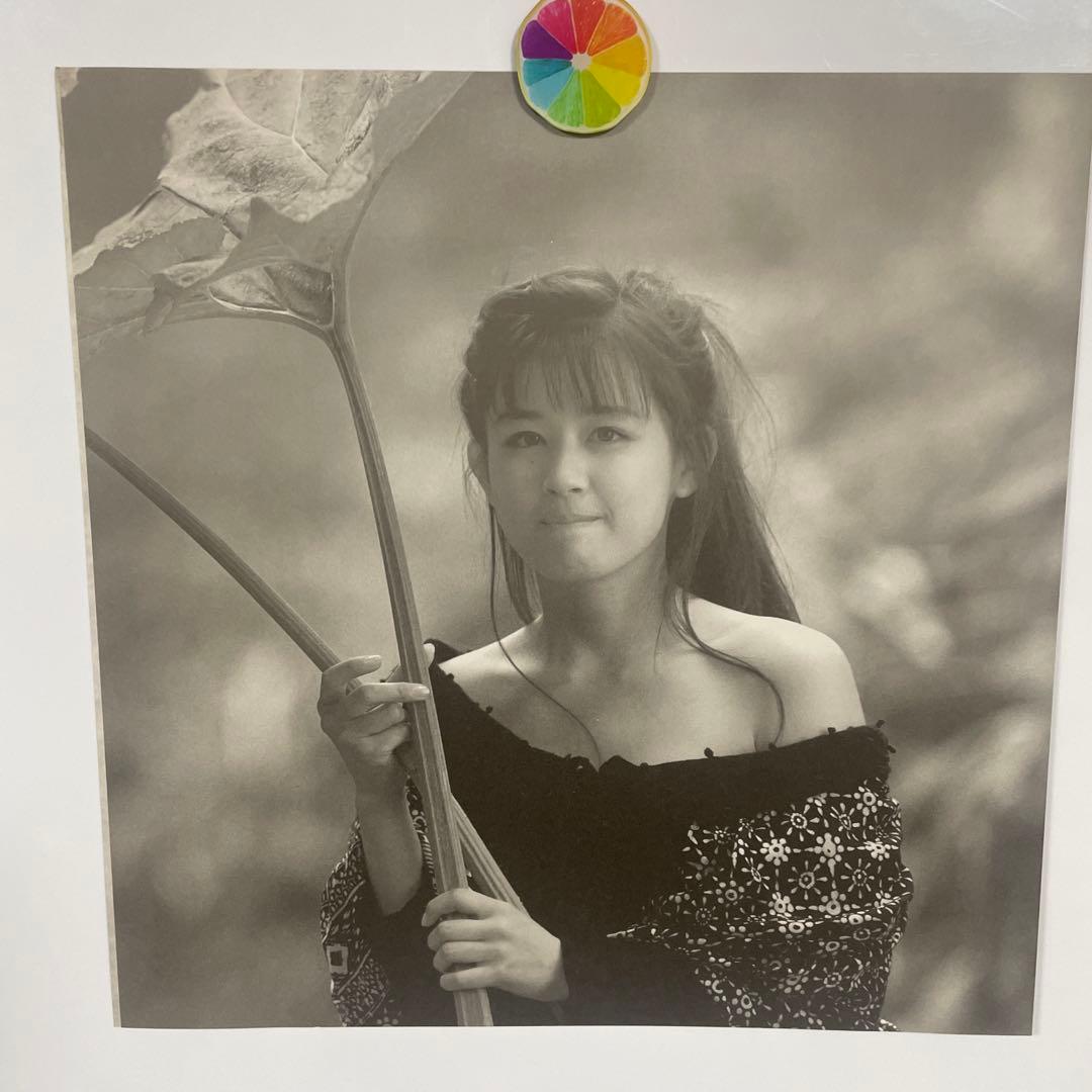 田村英里子 ドリームパイロット レーザーディスク