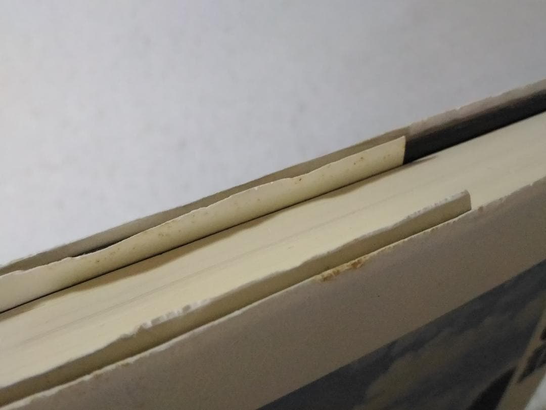 転落の記 本間龍 私が起こした詐欺事件、その罪と罰
