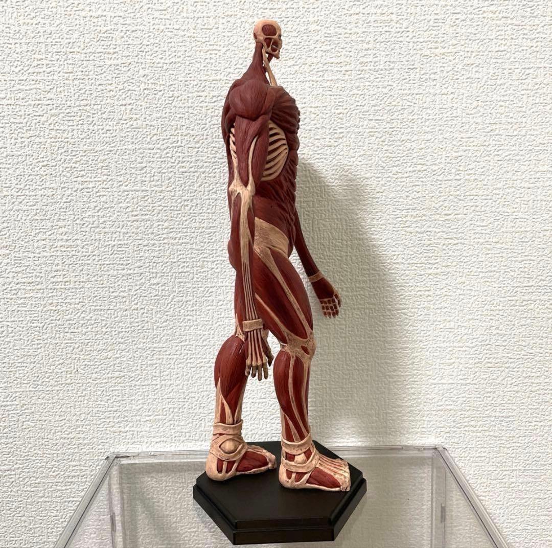 POP UP PARADE アルミン　超大型巨人Ver. L size