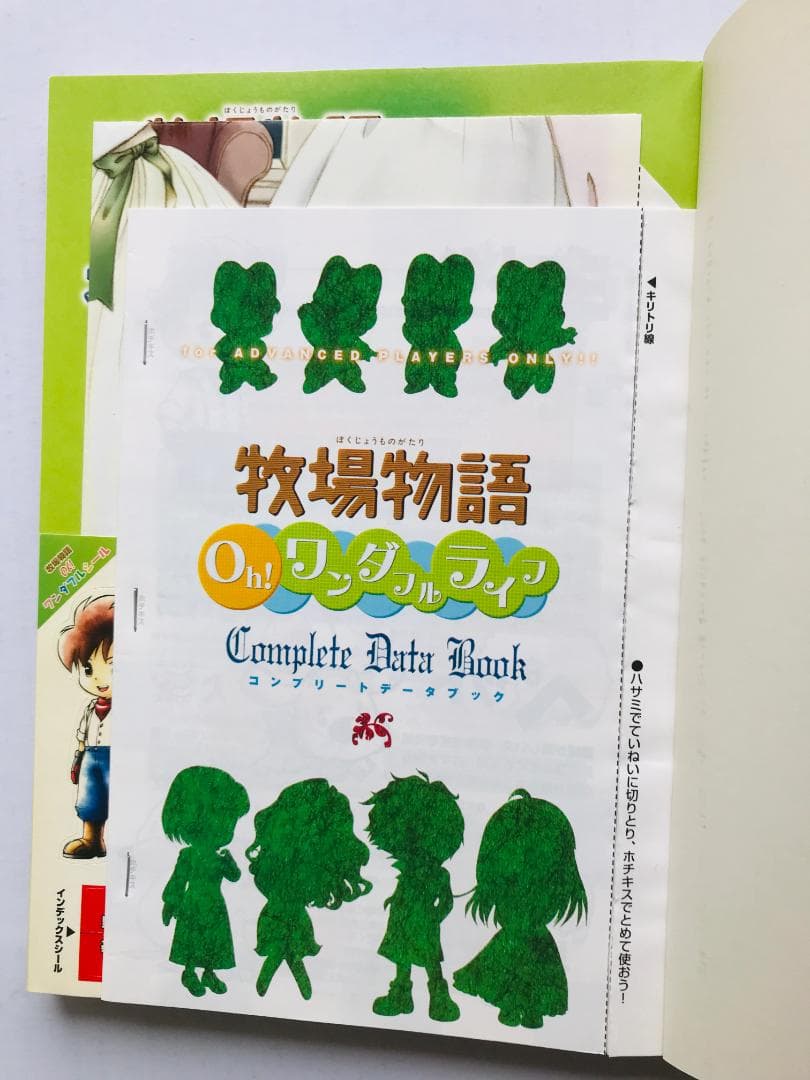 牧場物語 Oh! ワンダフルライフ 初回版 スーパーガイドブック 攻略本 PS2