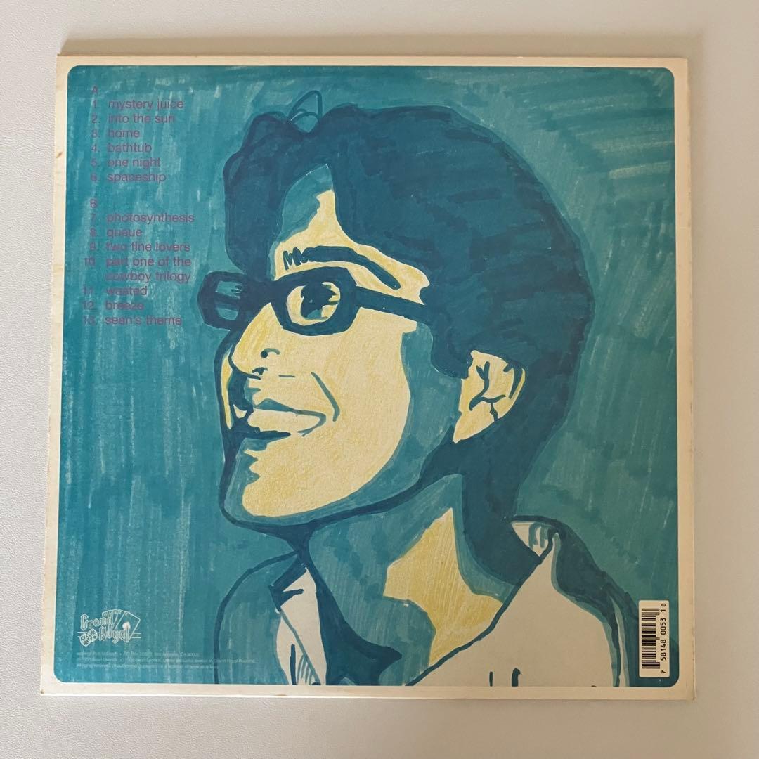 Sean Lennon – Into The Sun レコード　オリジナル盤