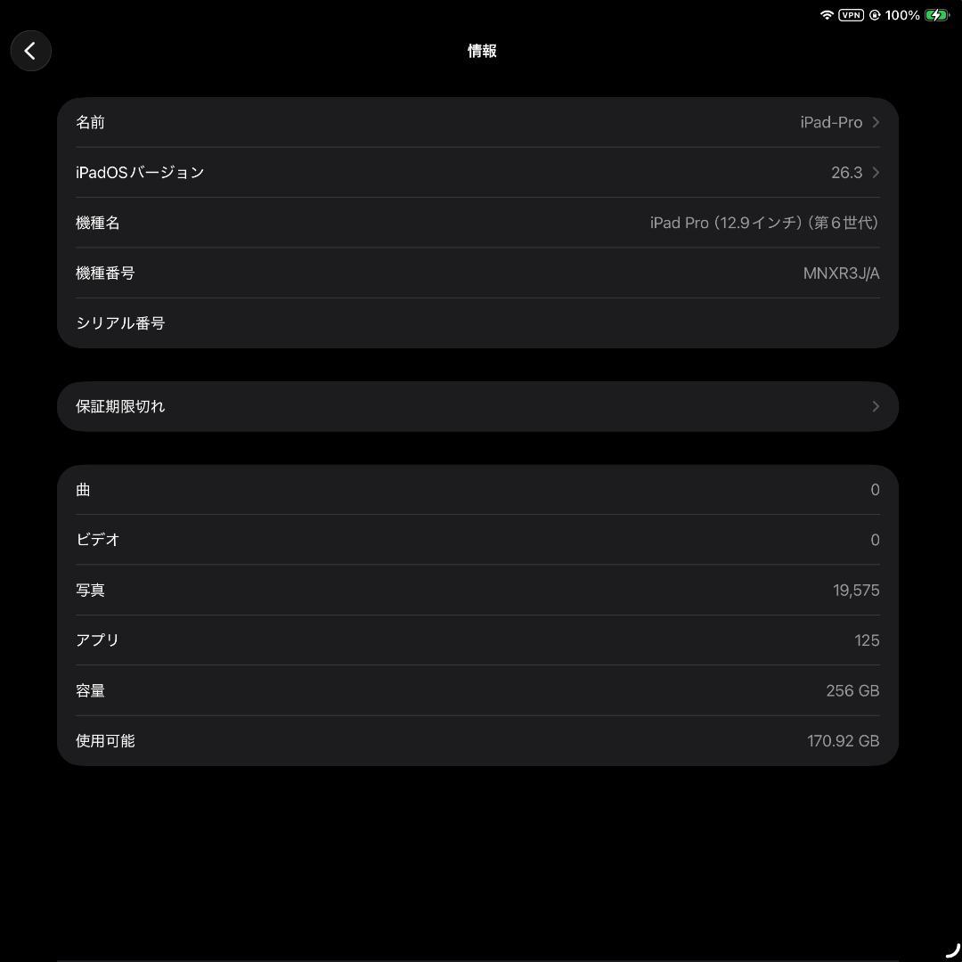 iPad Pro 12.9 (第6世代) 256GB Gray WiFiモデル