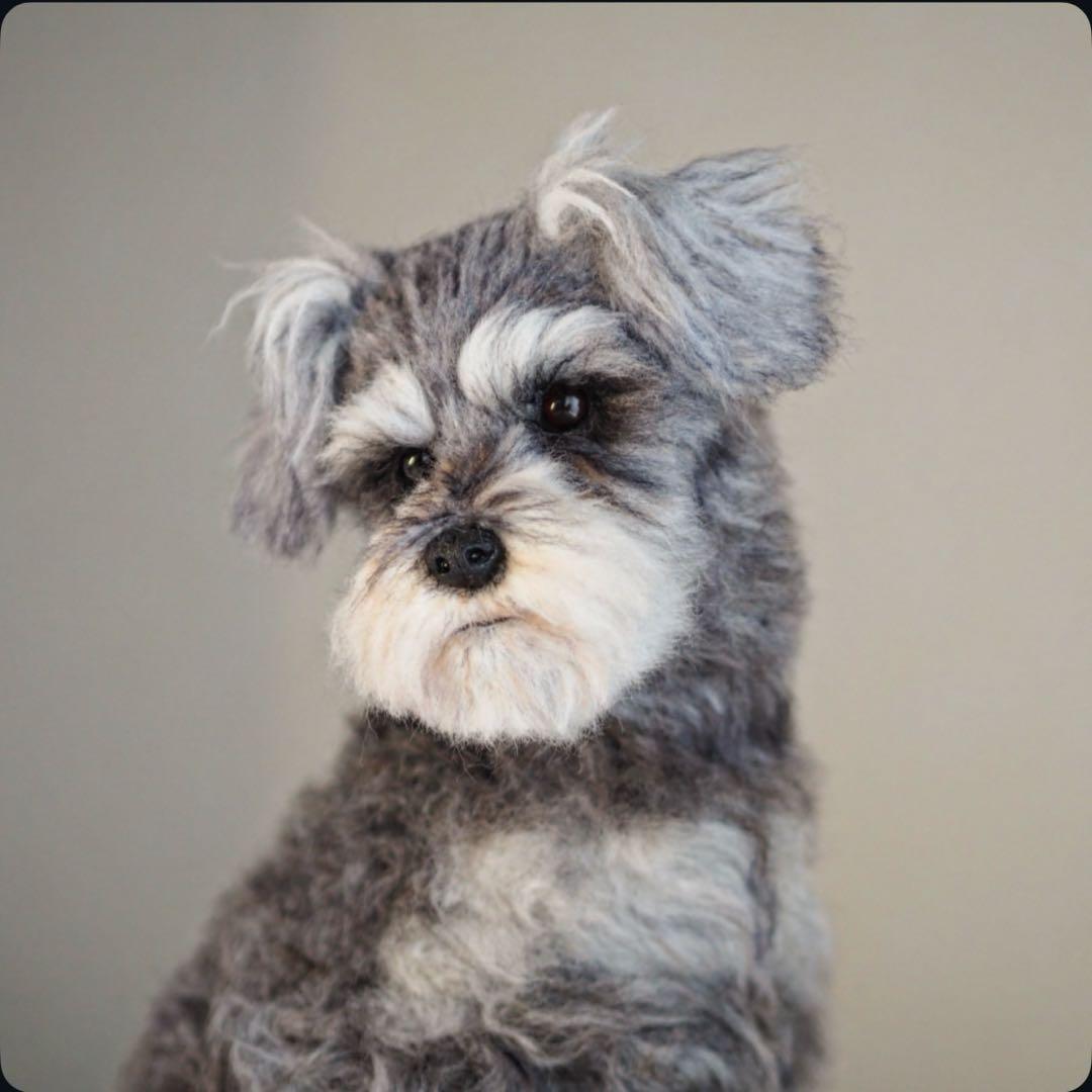 羊毛フェルト　シュナウザー　振り返りお座り　犬　トリミング前　一点物