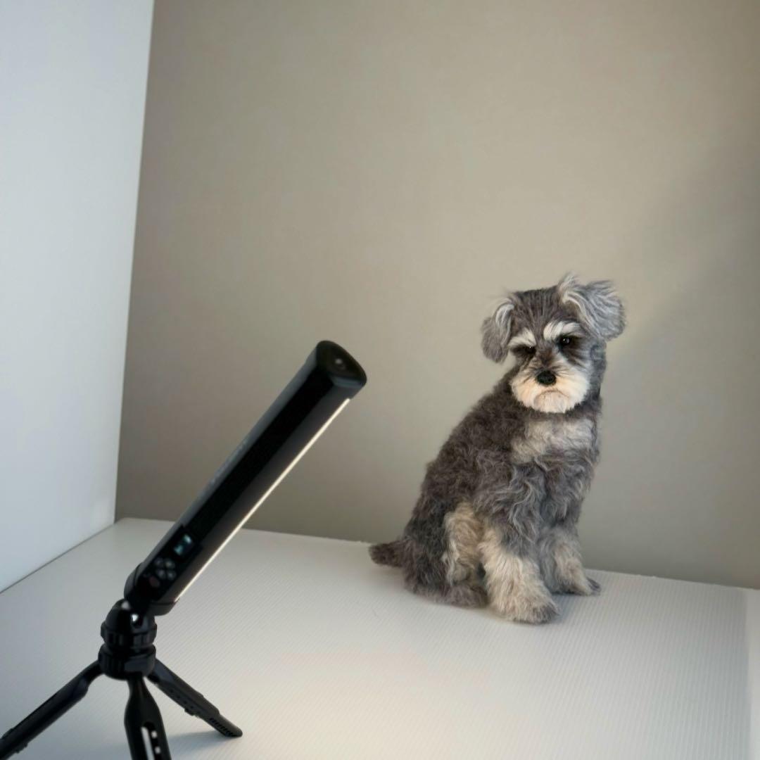 羊毛フェルト　シュナウザー　振り返りお座り　犬　トリミング前　一点物