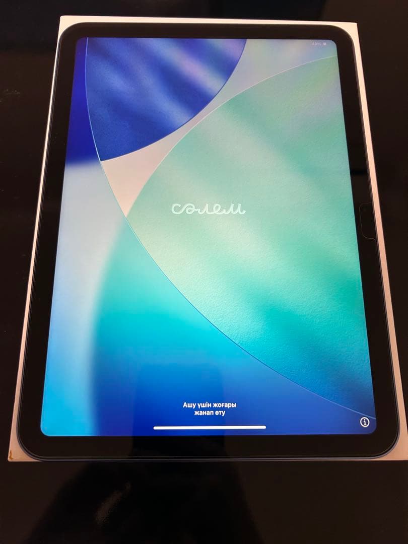 Apple iPad 10.9インチ ブルー 本体　第10世代